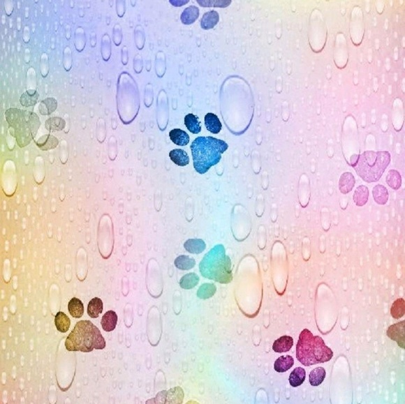 Meet your Posher, Kim - Picture 1 of 1